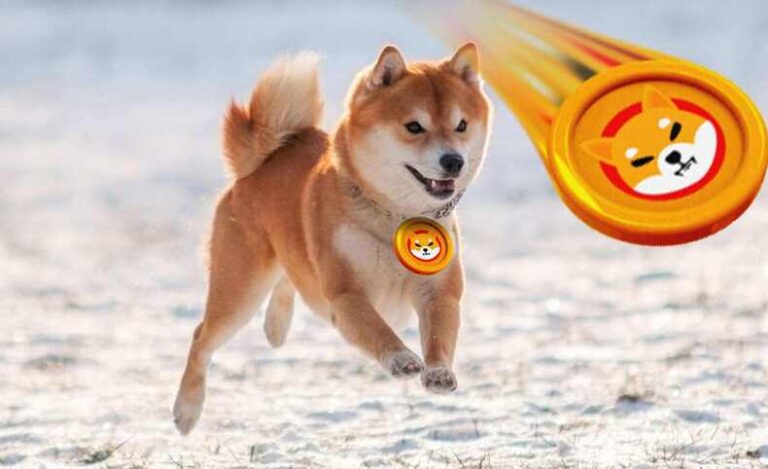 Shiba Inu Cryptocurrency Price Prediction | Forecast: Will The SHIB Coin Be Worth More Than Bitcoin In The Future?
